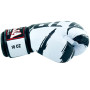 Raja Boxing Muay Thai Gloves "Tattoo V3"  