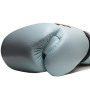 Fairtex BGV20 Boxing Gloves Pastel