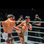 Fairtex BS1709 Muay Thai Boxing Shorts Leopard Free Shipping