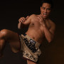 Fairtex BS1713 Muay Thai Boxing Shorts "Tribal" Free Shipping