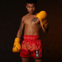Fairtex BS1910 Muay Thai Boxing Shorts "Golden River" Free Shipping
