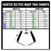 Fairtex BS1702 Muay Thai Boxing Shorts Blue Free Shipping