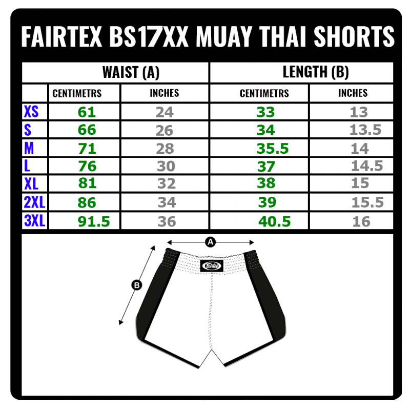 Fairtex BS1702 Muay Thai Boxing Shorts Blue Free Shipping