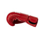 Fairtex BGV27 Amateur Boxing Gloves Red