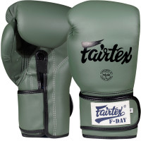 Fairtex BGV11 Boxing Gloves "F-Day"