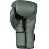 Fairtex BGV11 Boxing Gloves "F-Day"