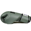 Fairtex BGV11 Boxing Gloves "F-Day"