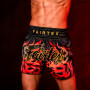 Fairtex BS1921 Muay Thai Boxing Shorts "Volcano" Free Shipping