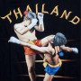 Muay Thai T-Shirt "Sparring Thailand" Black Free Shipping
