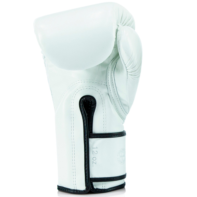 Fairtex BGVG3 "Glory" Boxing Gloves Velcro Black White