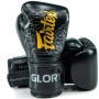 Fairtex BGVG3 "Glory" Boxing Gloves Velcro Black Silver