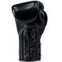 Fairtex BGVG3 "Glory" Boxing Gloves Velcro Black Silver