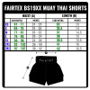 Fairtex BS1935 "Sapphire" Muay Thai Boxing Shorts Free Shipping