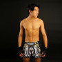 TUFF Muay Thai Boxing Shorts Retro "Golden Gladiator In White" Free Shipping