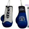 TKB TopKing Hanging Car Mirror Mini Boxing Gloves Blue Free Shipping