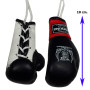 TKB Top King Hanging Car Mirror Mini Boxing Gloves Black Free Shipping