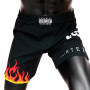 Fairtex AB12 MMA Shorts Board "Burn" Free Shipping