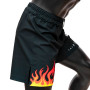 Fairtex AB12 MMA Shorts Board "Burn" Free Shipping