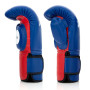 Fairtex BGV13 Boxing Gloves "Coaching-Sparring" Blue