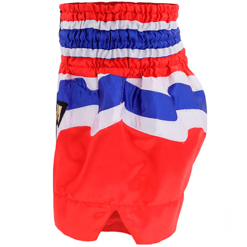 TKB TopKing TKTBS-244 Muay Thai Boxing Shorts Free Shipping