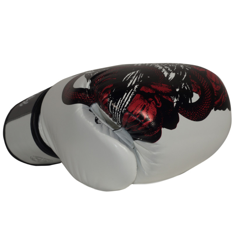 Fairtex BGV24 Boxing Gloves "The Beauty Of Survival"