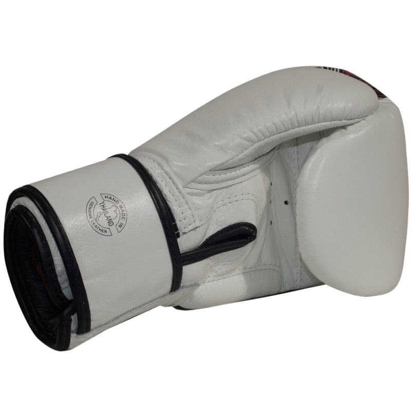 Fairtex BGV24 Boxing Gloves "The Beauty Of Survival"