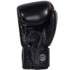 Fairtex BGV24 Boxing Gloves "The Beauty Of Survival"