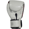 Fairtex BGV24 Boxing Gloves "The Beauty Of Survival"