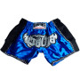 Lumpinee Muay Thai Boxing Shorts Retro Blue Free Shipping