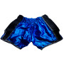 Lumpinee Muay Thai Boxing Shorts Retro Blue Free Shipping