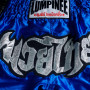 Lumpinee Muay Thai Boxing Shorts Retro Blue Free Shipping