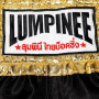 Lumpinee Muay Thai Boxing Shorts Free Shipping