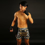 TUFF Muay Thai Boxing Shorts Retro "Golden Gladiator In Black" Free Shipping