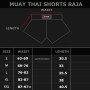 Raja Muay Thai Boxing Shorts "Lai Thai" Black Free Shipping