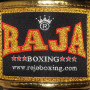 Raja "Alka" Muay Thai Boxing Gloves Red-Black