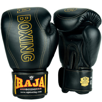 Raja Boxing Gloves "Porsch"