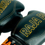 Raja Boxing Muay Thai Gloves "Porsch"