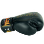 Raja Boxing Muay Thai Gloves "Porsch"