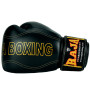 Raja Boxing Muay Thai Gloves "Porsch"