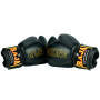 Raja Boxing Muay Thai Gloves "Porsch"