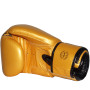 Fairtex BGV26 Boxing Gloves "Harmony Six"