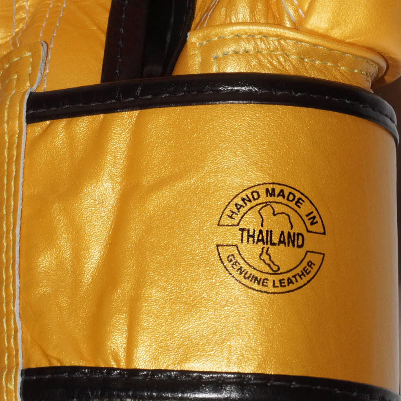 Fairtex BGV26 Boxing Gloves "Harmony Six"