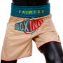 Fairtex BT2010 Boxing Trunks "Vintage" Free Shipping