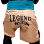 Fairtex BT2010 Boxing Trunks "Vintage" Free Shipping