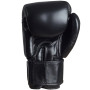 Fairtex BGV1 Boxing Gloves Universal Black