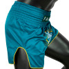Fairtex BS1907 Muay Thai Boxing Shorts "Focus" Free Shipping 