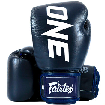 Fairtex BGV1 Boxing Gloves Universal "ONE" Blue