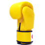 Fairtex BGV1 Boxing Gloves Universal Yellow