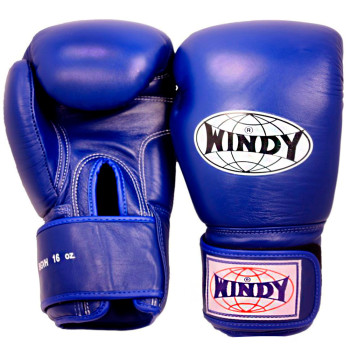 Windy BGVH Boxing Gloves Blue