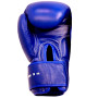 Windy BGVH Boxing Gloves Blue